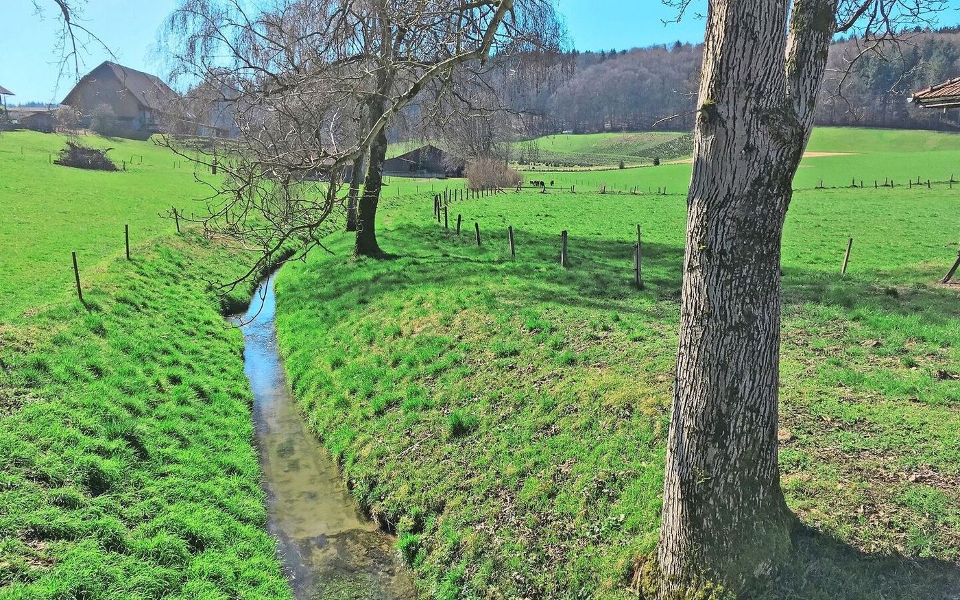 Zulassungsbedingte Abschwemmungs-Auflagen sind bis zu 100 m entfernt von Oberflächengewässern auf über 2 Prozent geneigten Parzellen einzuhalten.