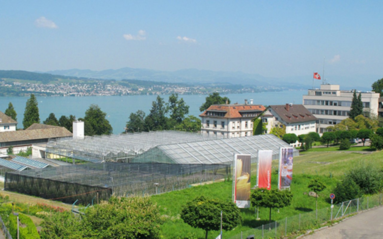 Blick auf den Agroscope-Standort in Wädenswil ZH. (Bild Agroscope)