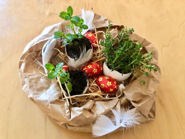 Basteltipp: Mit Kräutern bepflanzte Eierschalen als Osterdekoration Für die Tischmitte ein Osternest gestallten und mit den bepflanzten Eierschalen füllen. (Bilder Esther Thalmann)