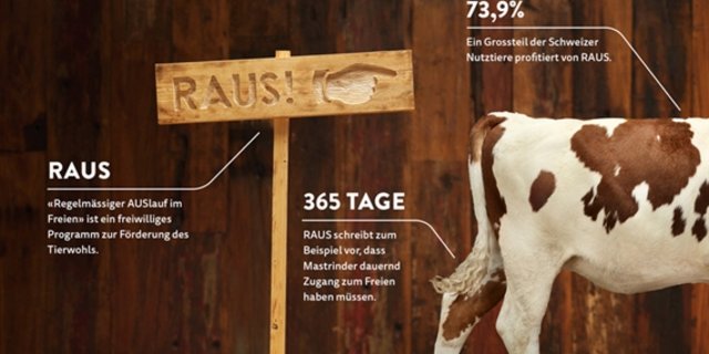 Fleischwerbung - wie hier die neue Kampagne von Proviande - soll weiterhin subventioniert werden dürfen. (Bild Proviande)