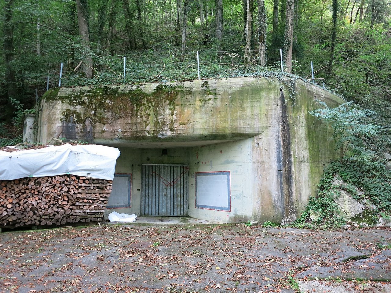 In Bunkern wie diesen soll bald Geflügel gemästet werden. Der Bund reagiert damit auf mögliche Versorgungsengpässe und sucht ab sofort 5-10 Standorte und Betreiber. (Bild Paebi) 