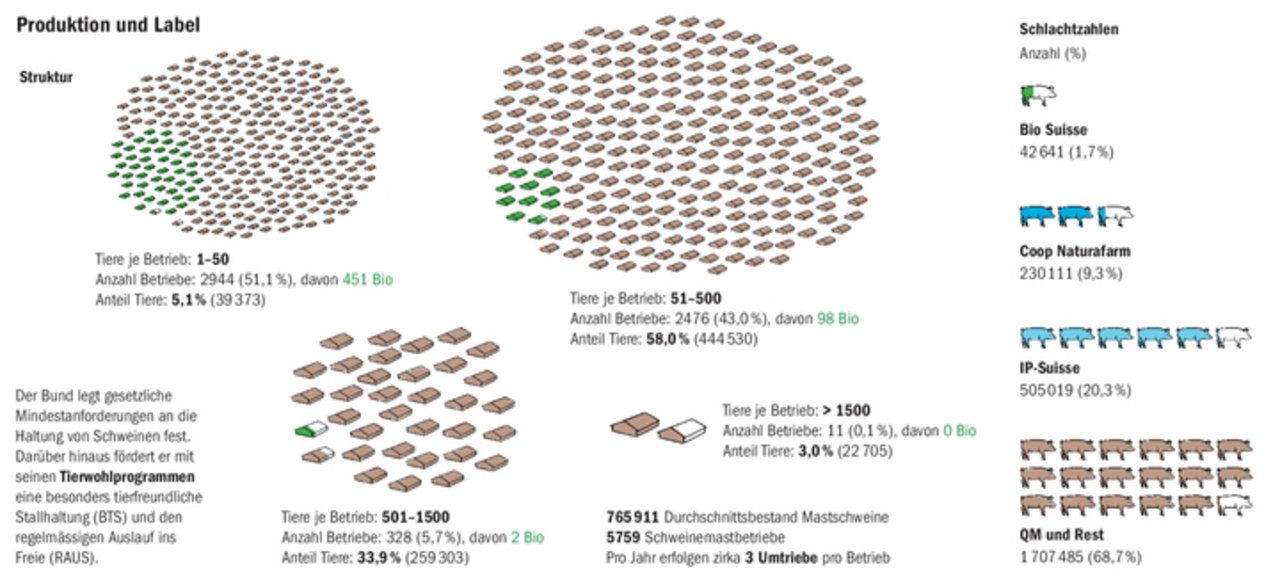 Die Betriebe mit Schweinehaltung werden immer grösser. Nach wie vor werden mehr Label-Schweine produziert, als sich verkaufen lassen.