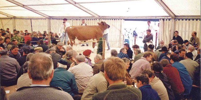  Viele Leute besuchten am 21. März 1998 unsere Versteigerung. (Bild Peter Fankhauser)