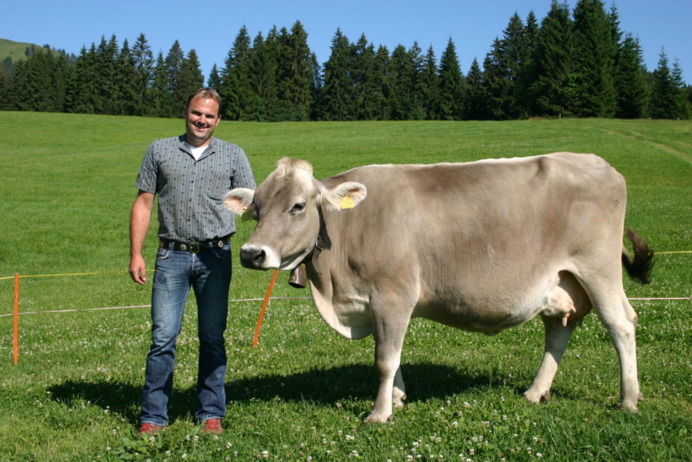 Scharfer Kritiker des Bundesrats: Marcel Dettling mit einer seiner Kühe auf dem Betrieb der Familie in Unteriberg. (Bild zVg)