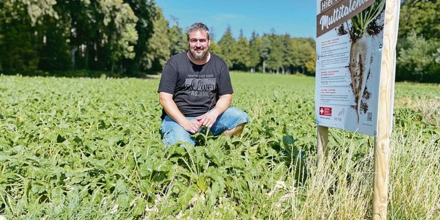 Adrian Salvisberg im August beim Besuch der BauernZeitung in seinem Rübenfeld. Nun steht schon bald die Ernte an.