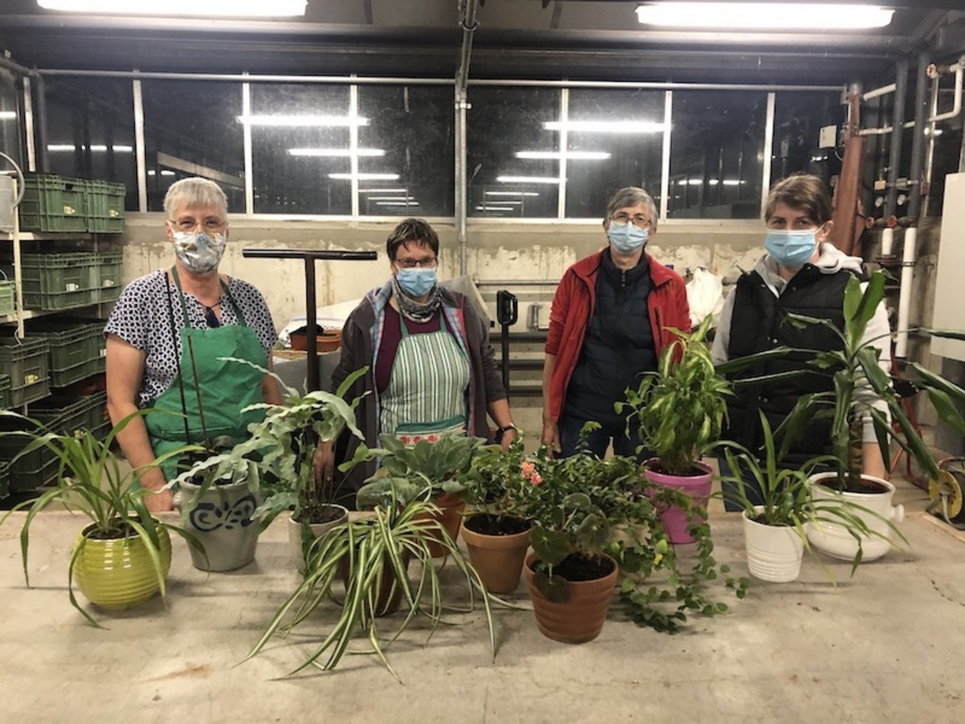 Irène Lüthi (ganz links) zeigt ihren Kursteilnehmerinnen, wie sie länger Freude an ihren Zimmerpflanzen haben können: Umtopfen zum Beispiel bringt viel. (Bild Esther Thalmann)