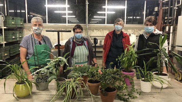 Irène Lüthi (ganz links) zeigt ihren Kursteilnehmerinnen, wie sie länger Freude an ihren Zimmerpflanzen haben können: Umtopfen zum Beispiel bringt viel. (Bild Esther Thalmann)