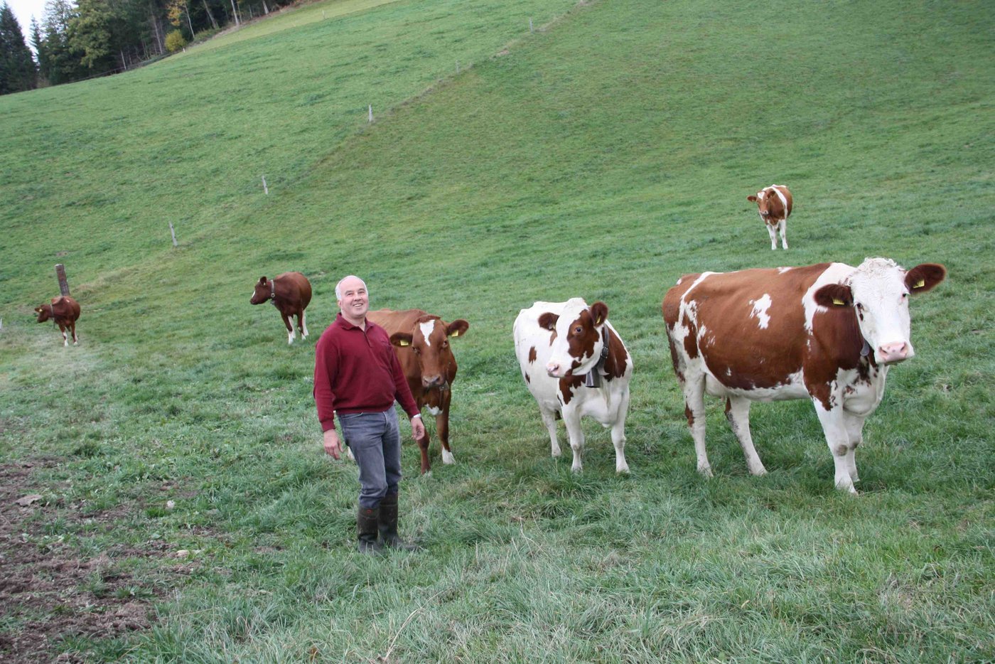 Ueli Wisler gewinnt im Arbeitskreis neue Erkenntnisse und richtet seinen Betrieb danach aus. (Bild Andrea Wyss) 