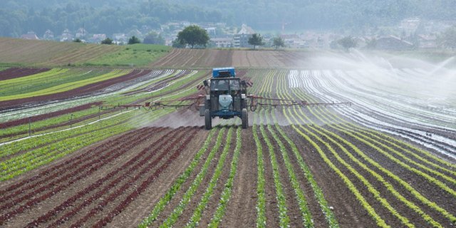Die Bevölkerung sei verunsichert und der Bundesrat solle im Interesse der Schweizer Bevölkerung handeln. (Symbolbild lid/ep)