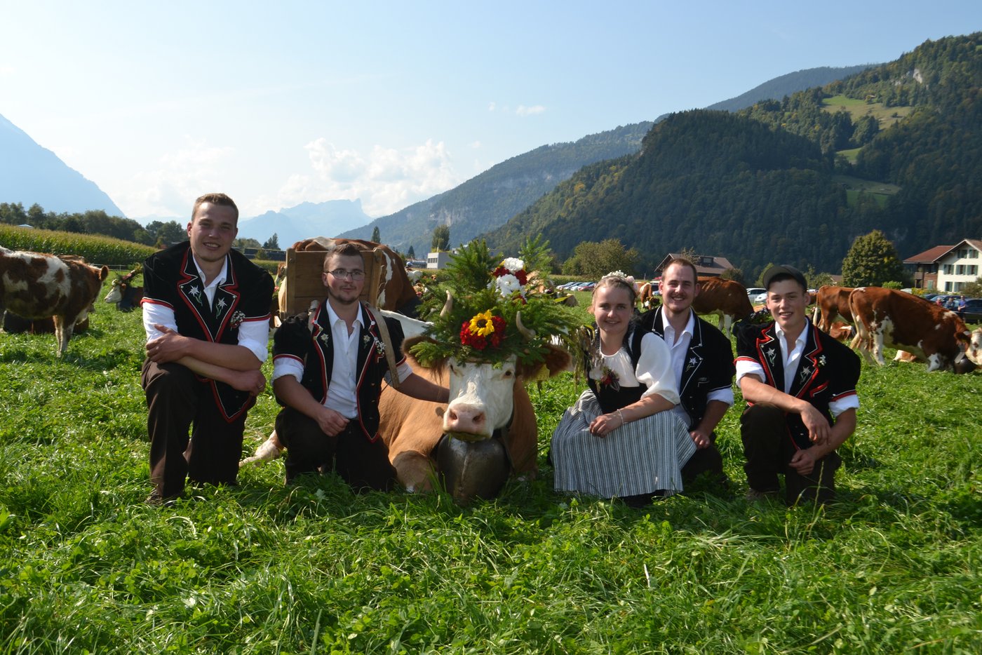 Das Älplerteam von (v. l. n. r.): Martin, Patrick, Sandra, Marco und Roger am Ziel in Unterseen BE. Alles ist gut gegangen, und nicht nur die Kühe sind müde. (Bilder Peter Fankhauser)
