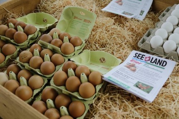 17,8 Millionen mehr Eier wurden von letzten Oktober bis letzten März in der Schweiz produziert. (Bild: lid)