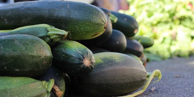 Der kleine Kürbis ist leicht und sehr kalorienarm und dank des milden, nussigen Geschmacks passt die Zucchetti zu den verschiedensten Gerichten. (Bild pd)