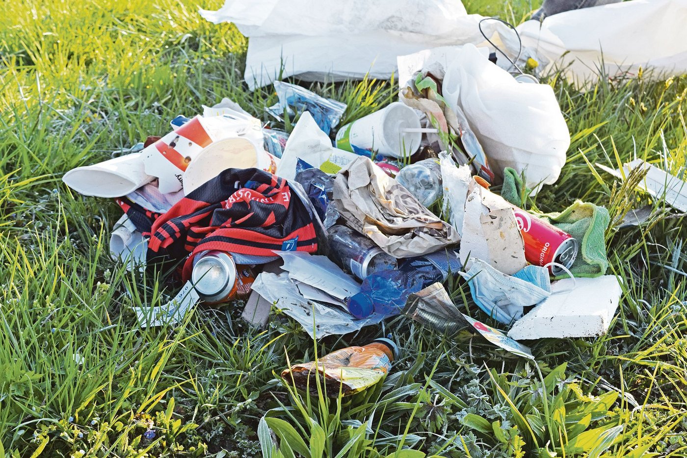 Diesen Unrat hat Wälchli am Vortag auf der Wiese aufgelesen. Auffallend hoch ist der Anteil an Fast-Food-Verpackungen.