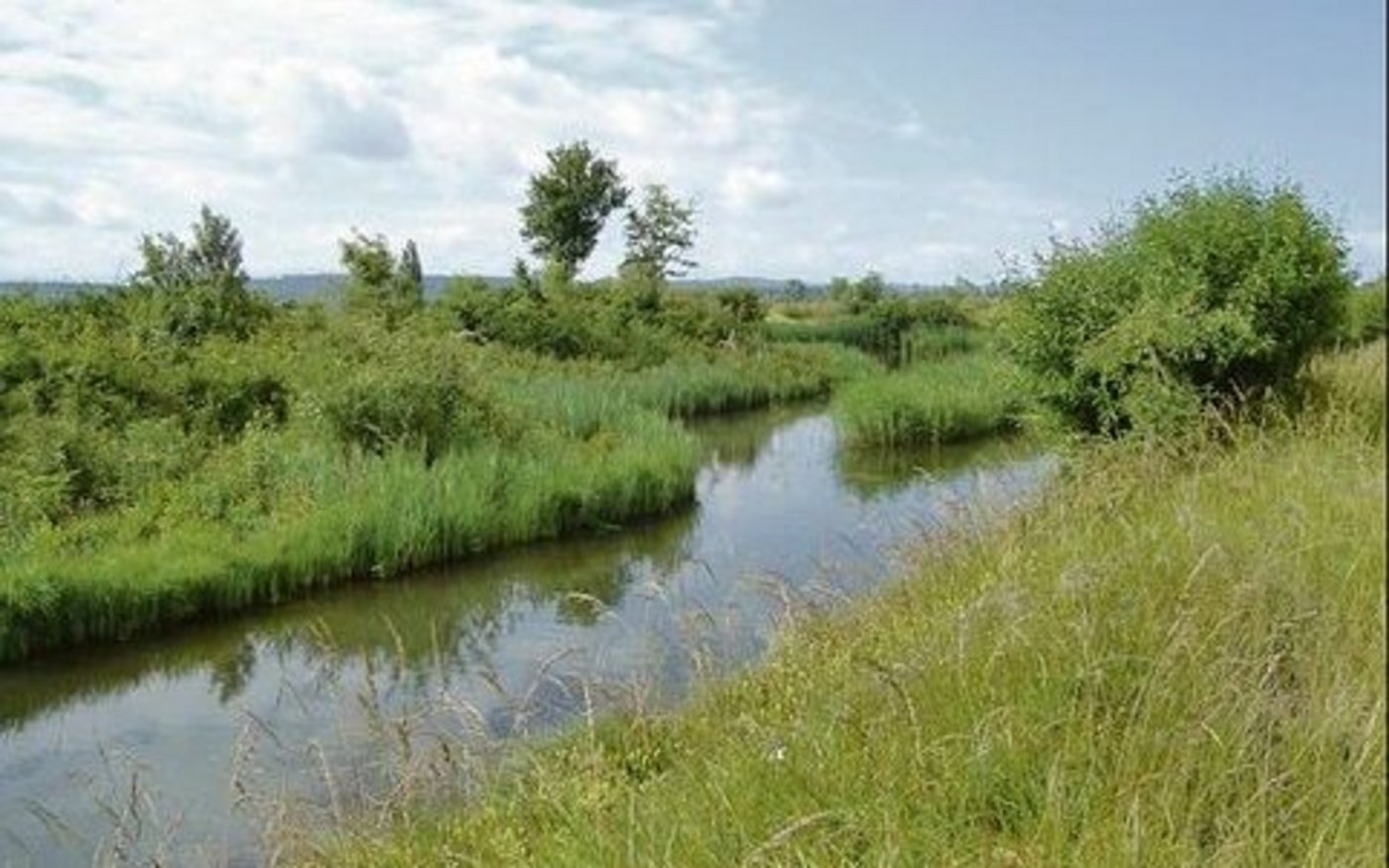 Ökologie und Landwirtschaft wird auch im Grossen Moos zur Herausforderung.