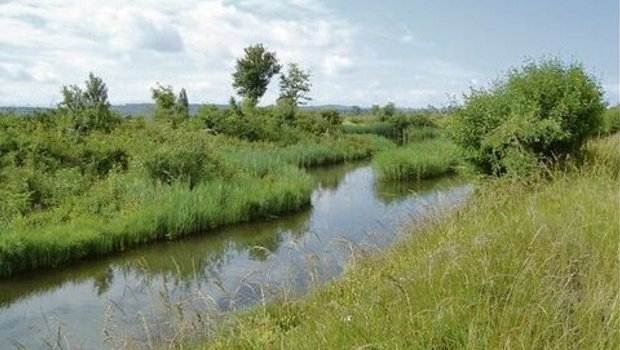 Ökologie und Landwirtschaft wird auch im Grossen Moos zur Herausforderung.