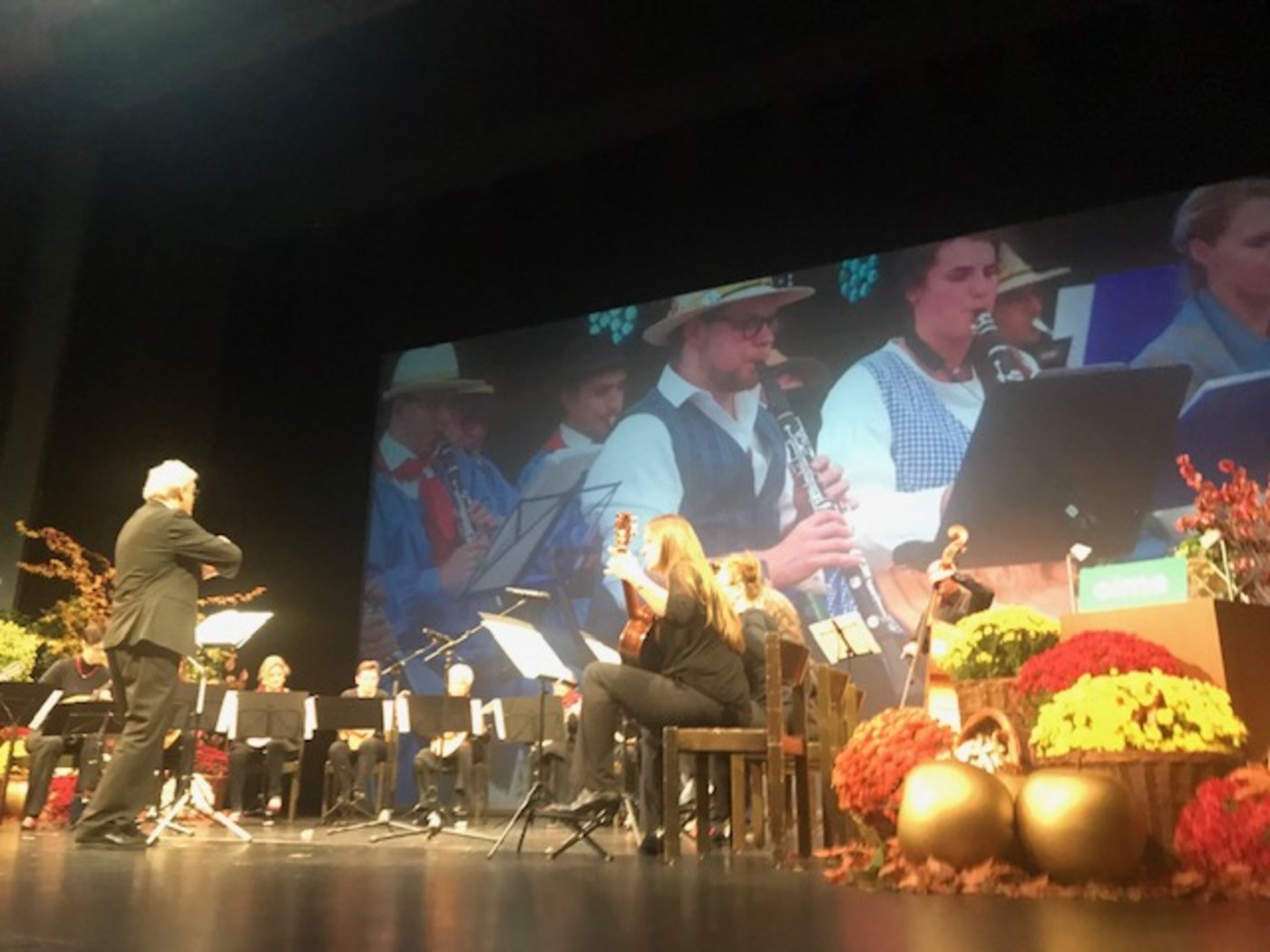 "zupf.helvetica", das Schweizer Verbandsorchester des Zupfmusik-Verbands spielte "Die zertanzten Schuhe". (Bild akr)