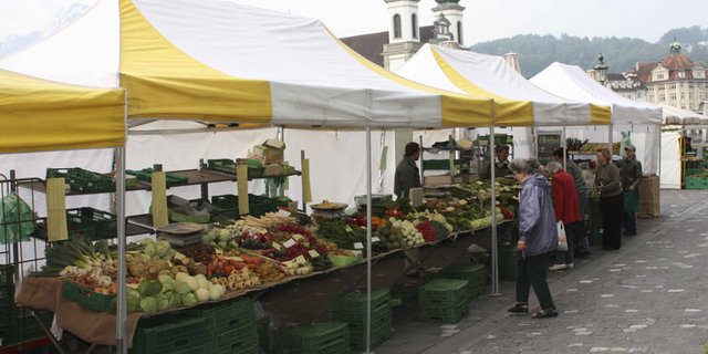 Der Bundesrat hält daran fest, dass die mündliche Auskunft reicht.