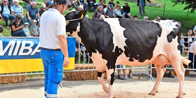 Sie löste den Spitzenpreis von 4350 Franken: die frisch abgekalbte Wow’s Bale Jessica von Markus Walser, Mümliswil. 