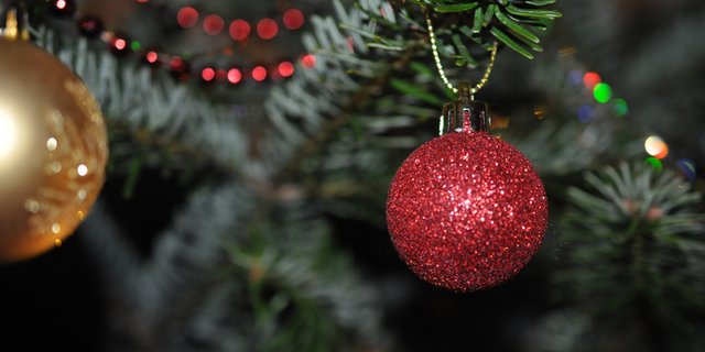 Bald steht er wieder schön geschmückt in der Stube: der Christbaum. (Bild pd)