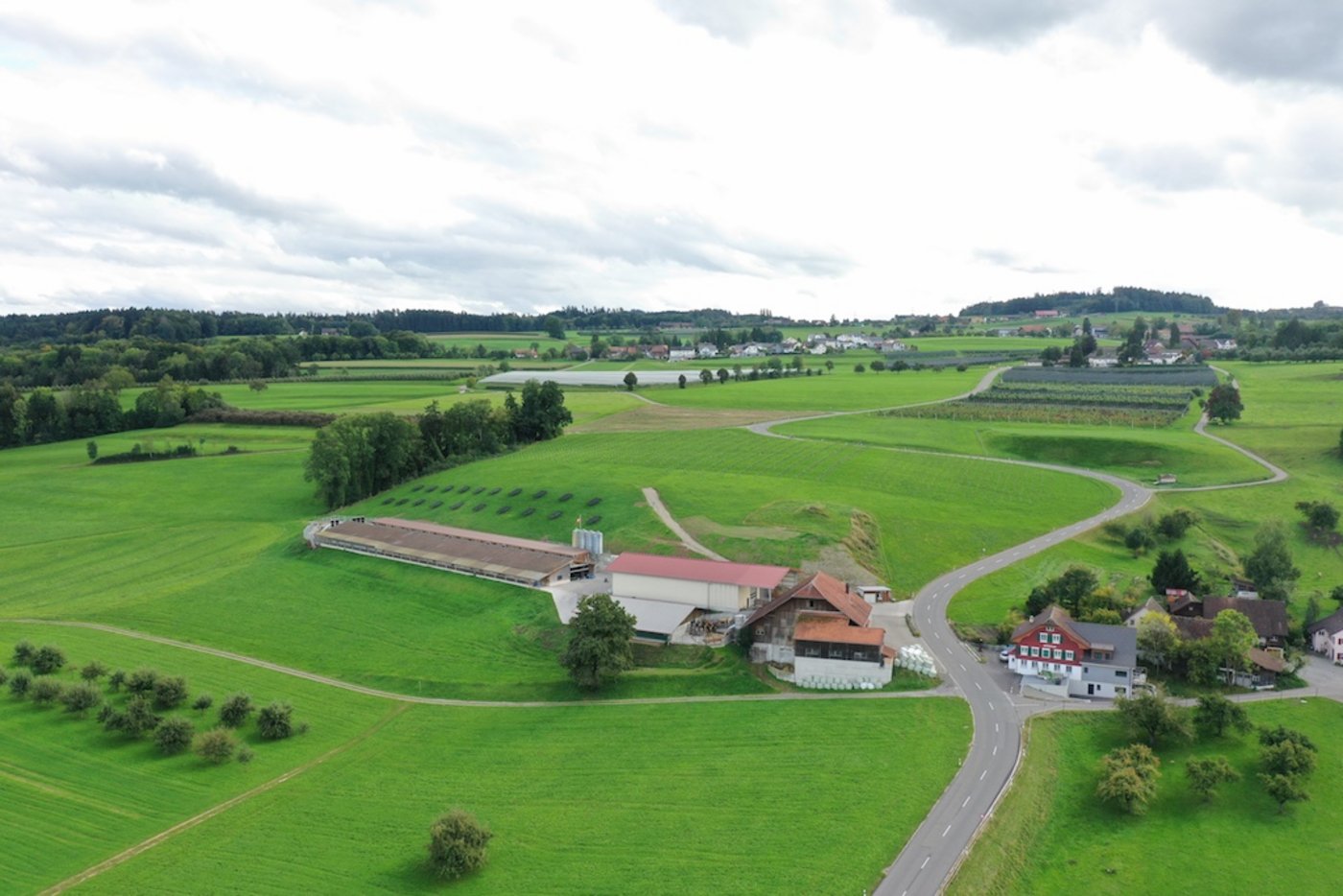 Die 18'000 Legehennen auf dem Betrieb Schöntal haben es schön. Ihnen steht nebst dem Wintergarten eine grosszügige Weide mit Strukturelementen offen.