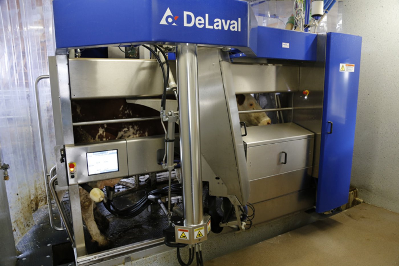 Rund 200'000 Franken kostet ein Melkroboter. 