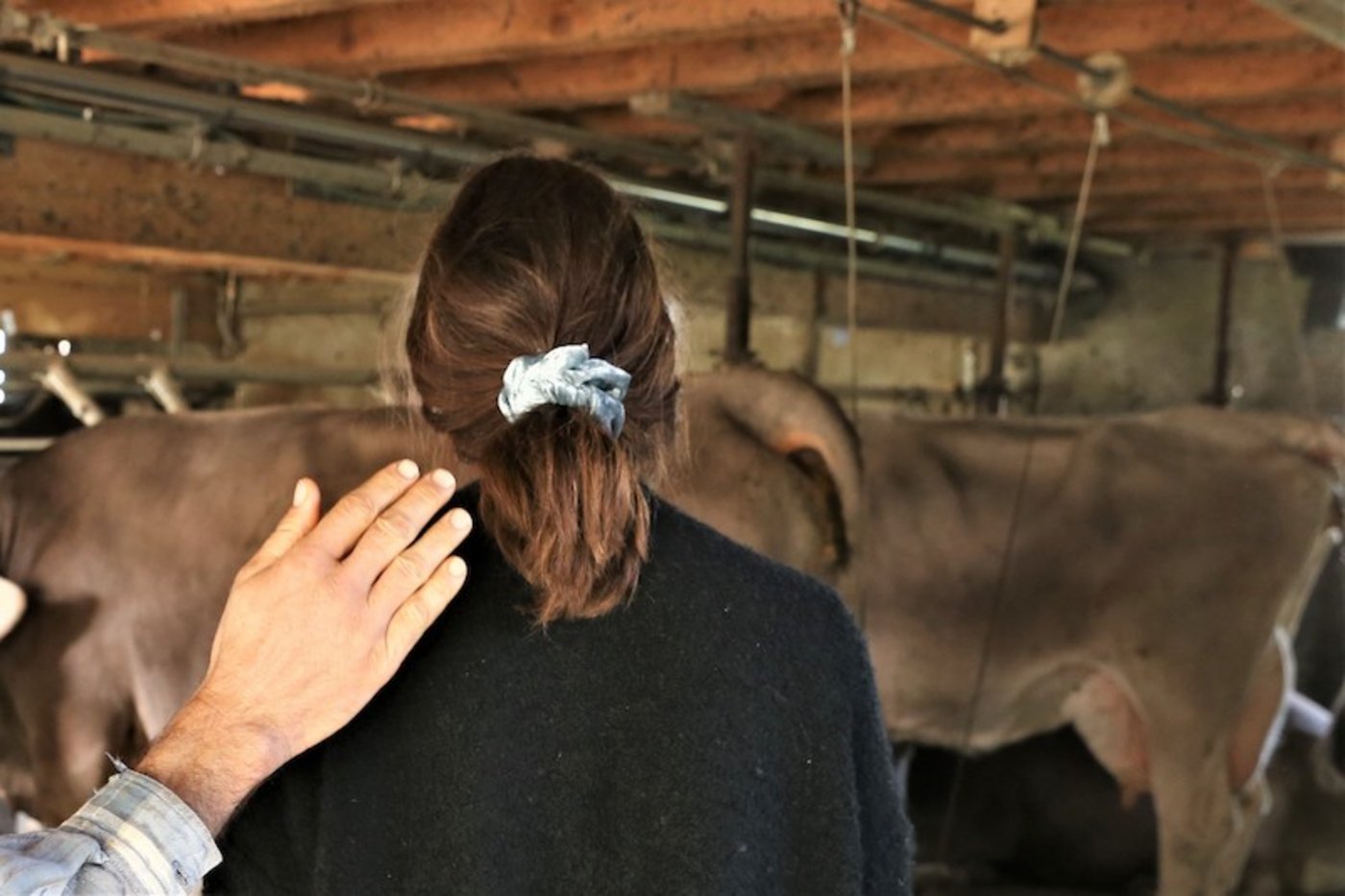 Opfer von häuslicher Gewalt gibt es auch auf Bauernhöfen. Verbreiteter scheinen jedoch andere Arten der Unterdrückung,  wie beispielsweise die Kommunikationsverweigerung oder die Verweigerung des Mitspracherechts. (Symbolbild Reto Betschart)