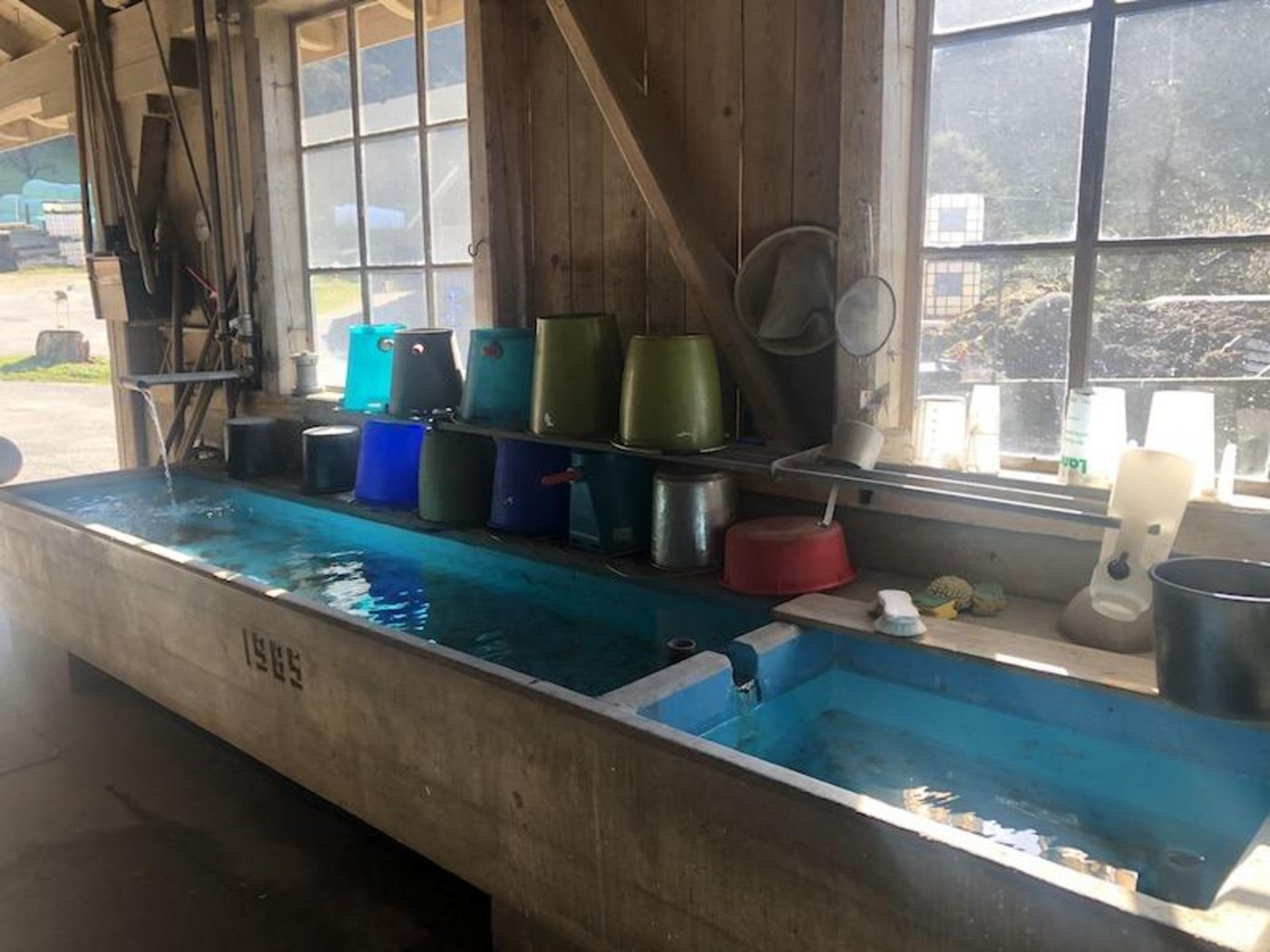 Das Plätschern vom Brunnen im Durchgang vom Stall zum Wohnhaus hat etwas sehr Lebendiges.