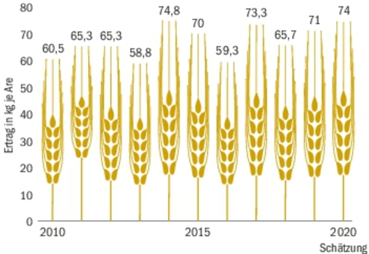 2020 wird mit geschätzten 74 Kilo Ertrag je Are im Schnitt sehr gut ausfallen. (Quelle Umfrage BauZ)