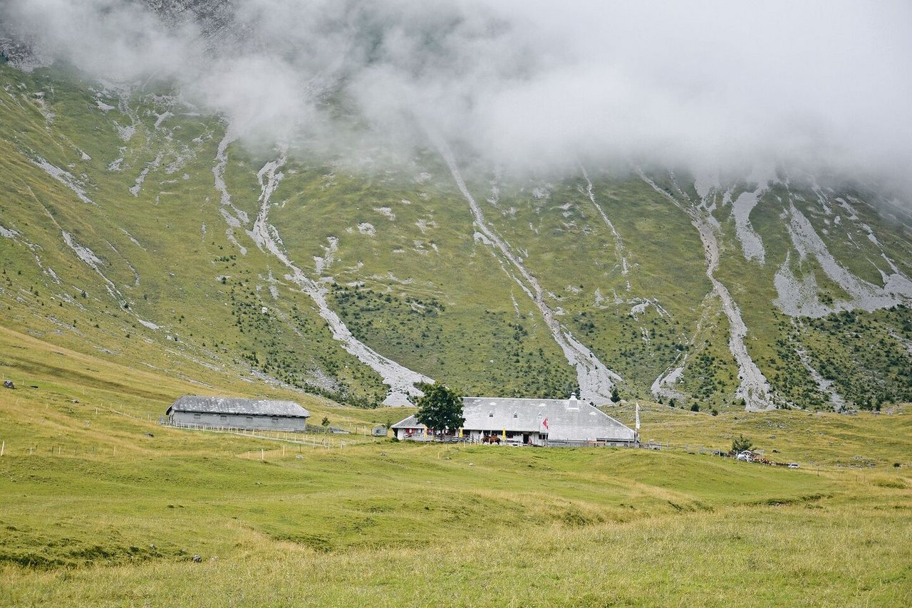 Sie ist eine der grössten Alpen im Kanton Freiburg: die Riggisalp.