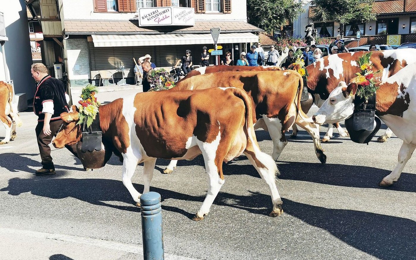 Mit der Abzüglete durchs Dorf begeisterten die Züchter die Bevölkerung.