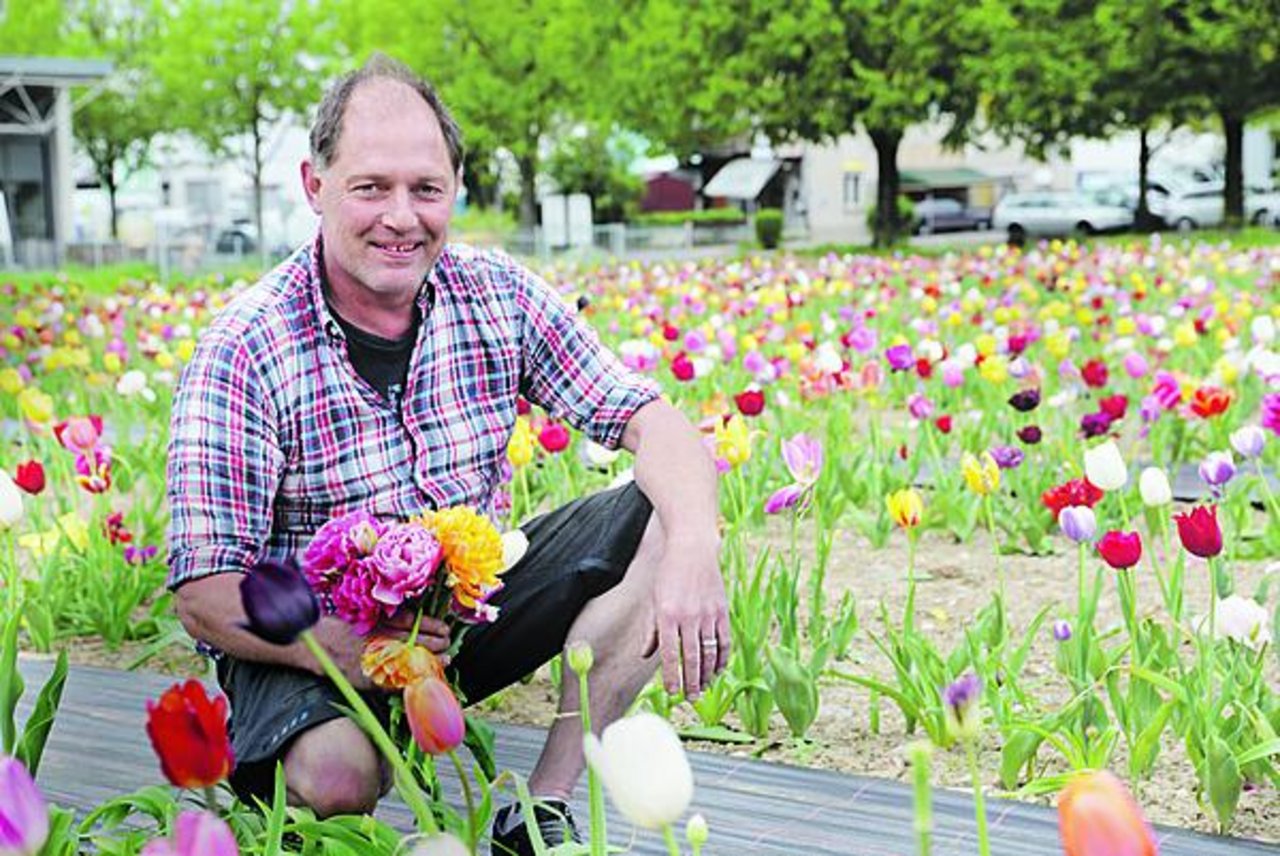 «Kunden wollen jederzeit blühende Blumen vorfinden.» Urs Buri aus Oberbalm BE bewirtschaftet seit 25 Jahren Blumenfelder zum selber Pflücken. (Bild bs)