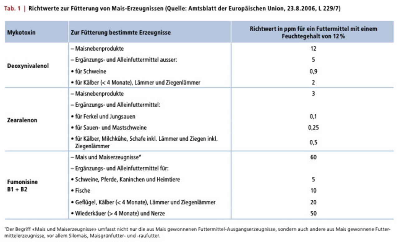 Für Futtermittel gelten verschiedene Richtwerte je nach Tierart und Mykotoxin. (Quelle: Fusarien und Mykotoxine bei Körnermais in der Schweiz von Agrarforschung Schweiz)