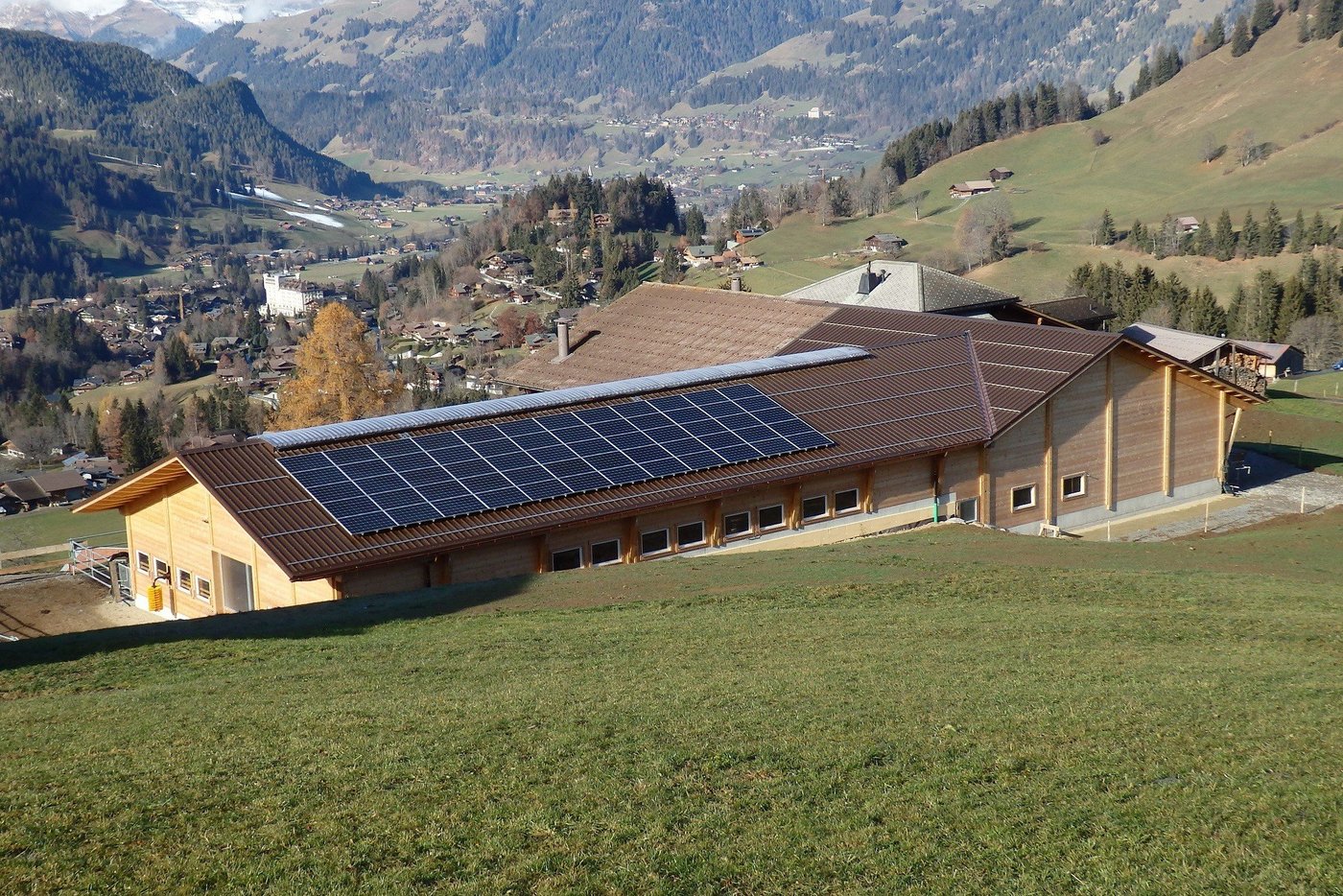 Holz sollte zum Heizen, bauen und Strom erzeugen genutzt werden, ist Ernst Wandfluh überzeugt. (Bild Initiative Holz)