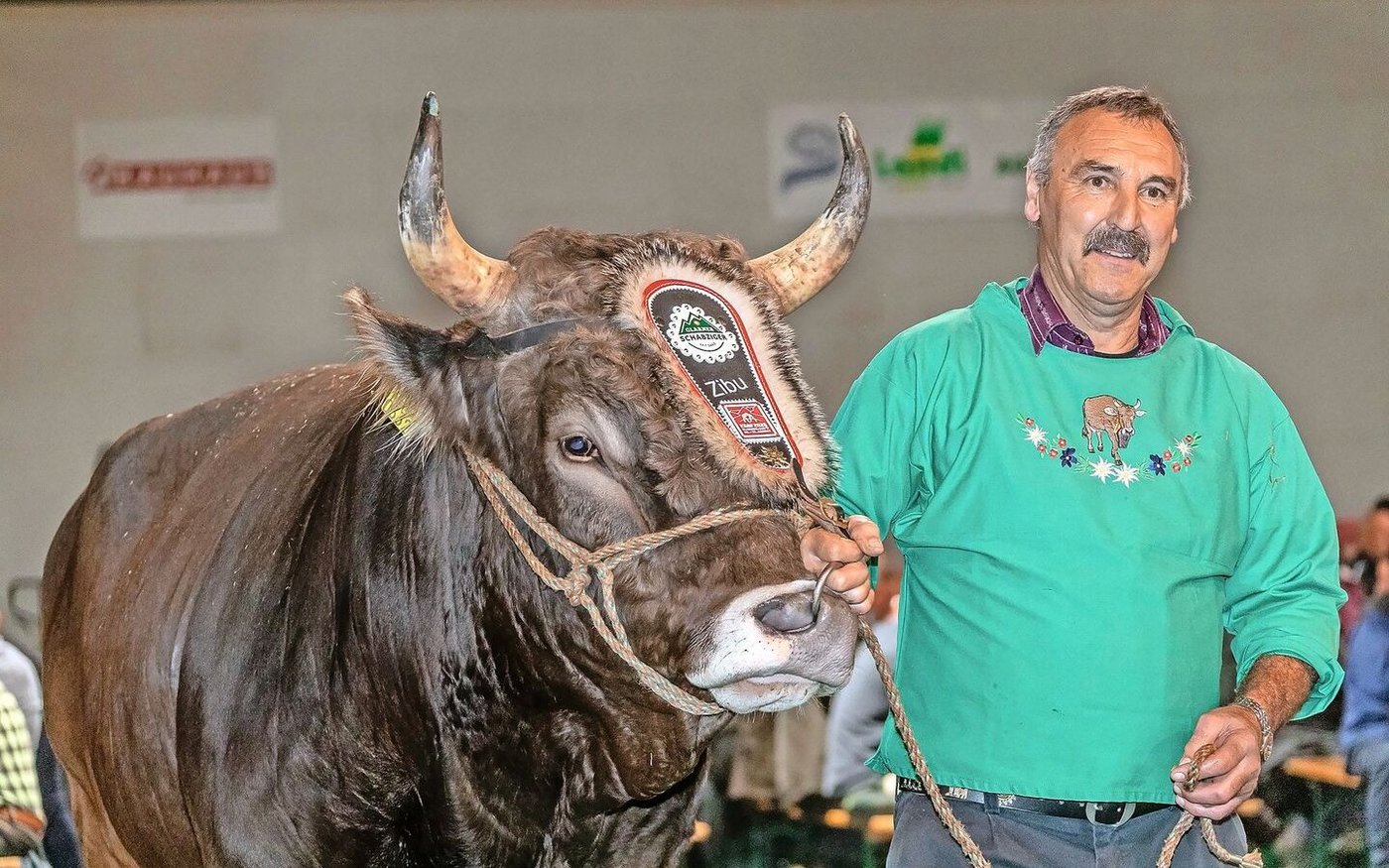 Bert Horner gefallen an seinem Stier Zibu vor allem die gute obere Linie und die schön geschwungenen Hörner.