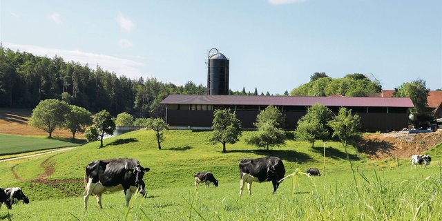 Es bleibt hügelig: Die Senke vor Roman Bieris Stall wird nicht aufgeschüttet. «Dabei wären Lösungen für die Verwendung von sauberem Aushub gesucht», gibt der Landwirt zu bedenken. (Bild Ruth Aerni)