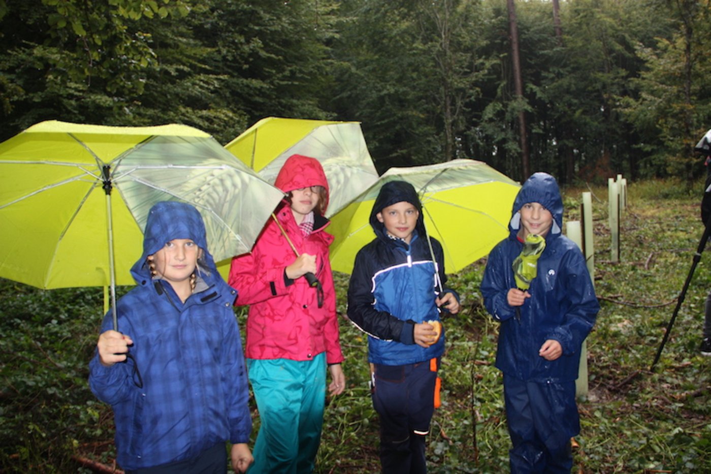Die Klimajugend hatte keine Zeit, sie und andere Kinder schon (v. l. n. r.): Aurelia, Julia, Tobias und Kilian. Letzterer betonte, Klimawandel sei etwas ernstes, die Pflanzaktion cool und gut fürs Klima. 