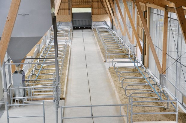 2020 wurde im Aargau auch wieder in neue Milchviehställe investiert – vor allem in grosse Einheiten. (Symbolbild sgi)