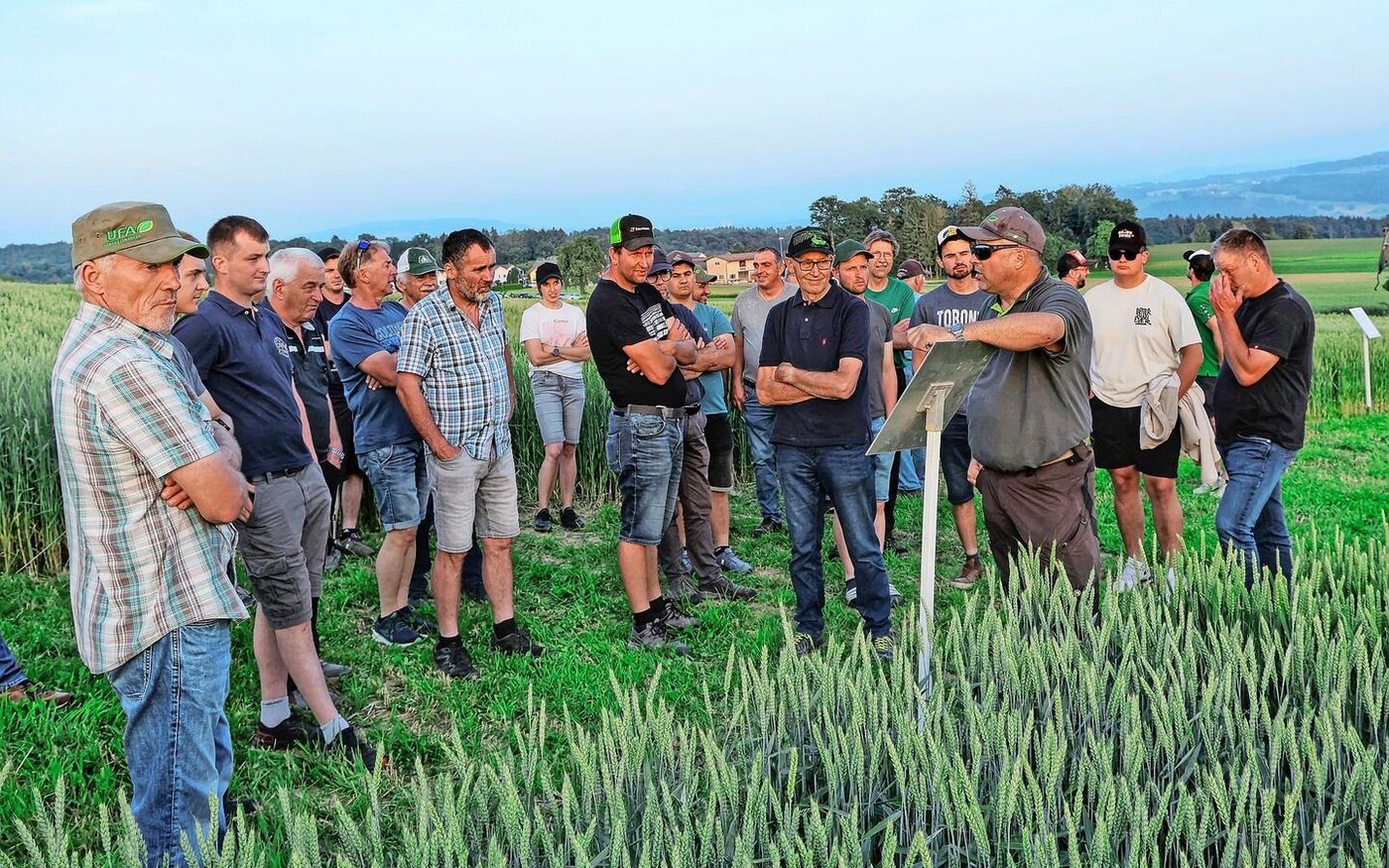 Flurbegehungen finden an der «Innovationsplattform Pfyn» jeweils morgens und Abends statt. Gerade am Abend zieht der Flurgang viele Landwirte an. 