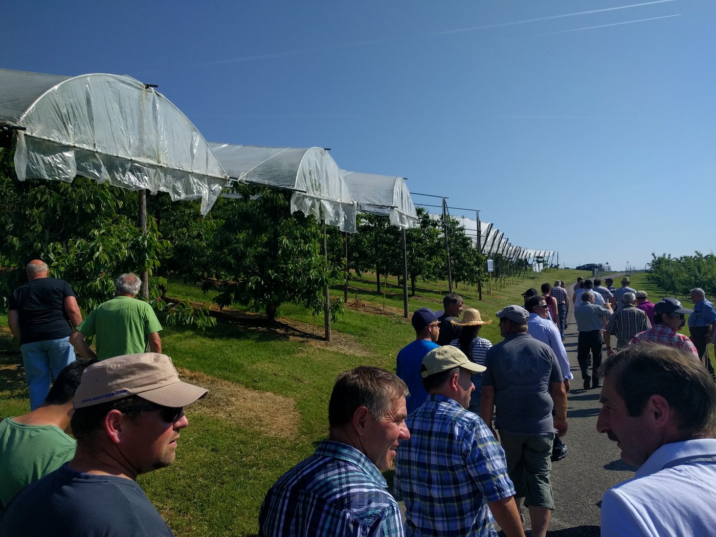 Der Rundgang kann beginnen. (Bild sbu)