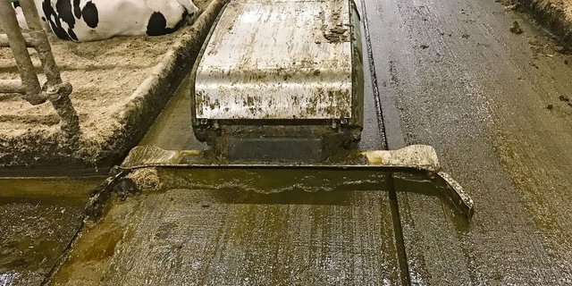 Entmistungsroboter mit Schiebeschild, doppelter Gummilippe und Wassersprüheinrichtung reinigen sehr gründlich.