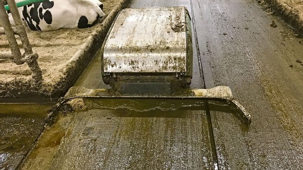 Entmistungsroboter m Entmistungsroboter mit Schiebeschild, doppelter Gummilippe und Wassersprüheinrichtung reinigen sehr gründlich.