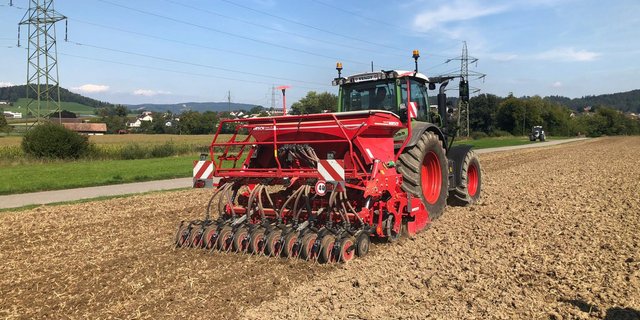 Cover Crop Banding: Im Herbst wurden Gründüngungen in Streifen angesät. In die ausgesparten Reihen kommt im Frühling die Maissaat (Bild SFF).