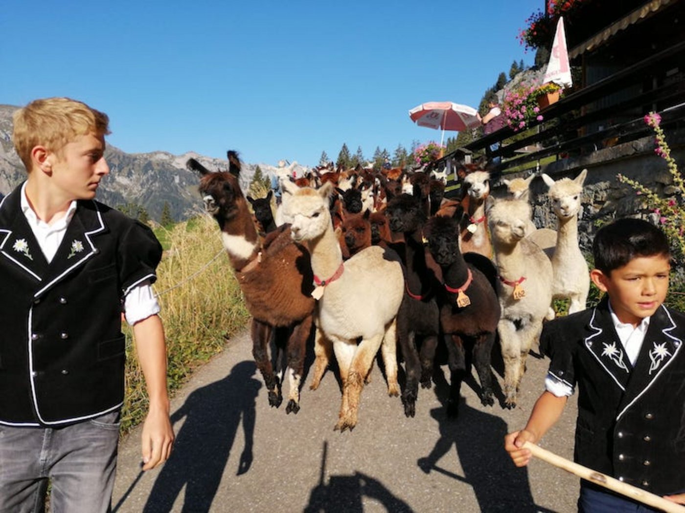 Der Alpabzug war ein voller Erfolg, wie Arnold Luginbühl sagt. (Bild zVg)