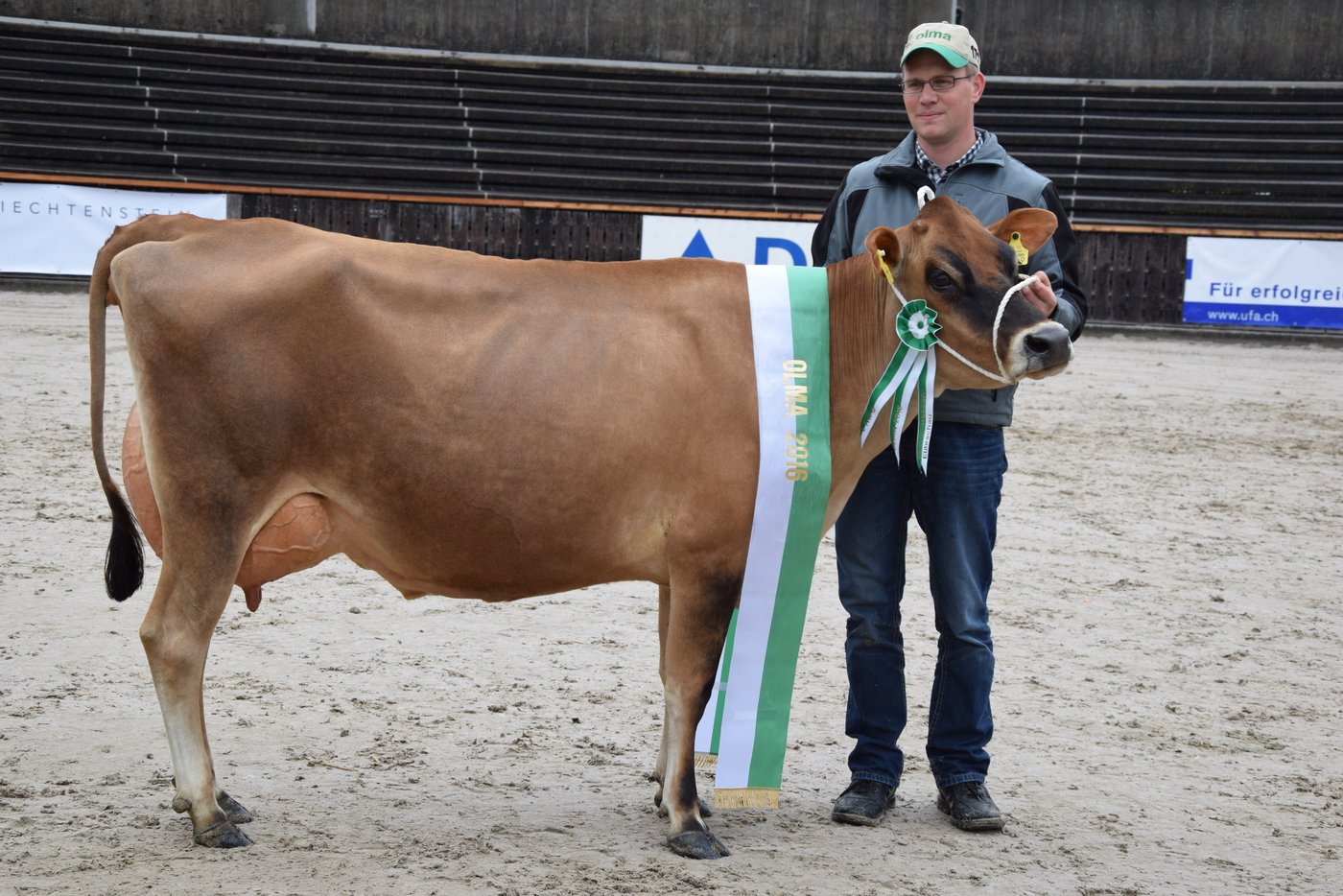 Die Miss Olma bei den Jersey heisst: Schintbühl JE Valenti Columbia von Martin Zemp, Ebnet. 