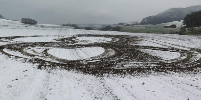 Bei diesem Anblick kommt Wut auf: Der Schaden auf diesem Feld in Zeglingen BL wurde mit Absicht verursacht. (Bild Kapo BL)
