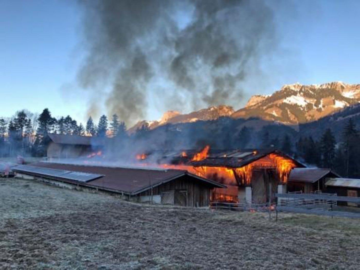 Der Scheunenbrand konnte durch die Feuerwehr gelöscht werden. Menschen und Tiere kamen keine zu Schaden. (Bild Kapo BE)