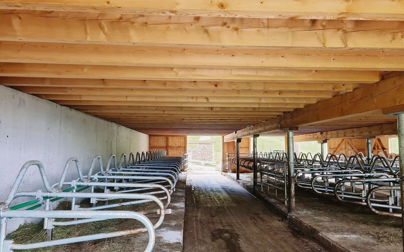 Blick zu den Liegeboxen im  2020 neu erbauten Alpstall auf der Trockenmatt.