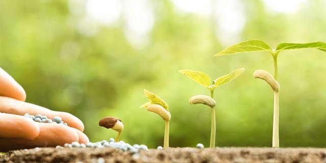 Die SZG hat einige Neuheiten veröffentlicht. (Symbolbild Fotolia)