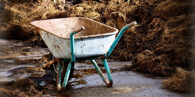 In der Botschaft zur AP 22+ wurde der Nährstoffüberschuss falsch beziffert – das bestätigten laut SBV auch die Behörden. (Bild Pixabay)