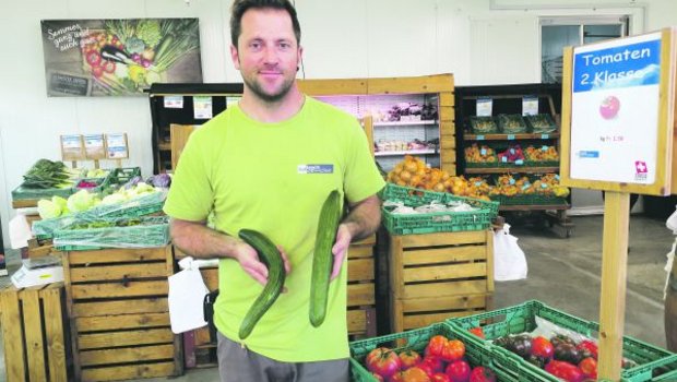 Pascal Gutknecht im Hofladen, wo nebst normalem Gemüse viel Gemüse verkauft wird, das nicht ganz den üblichen Verkaufsnormen entspricht. (Bilder Esther Thalmann)